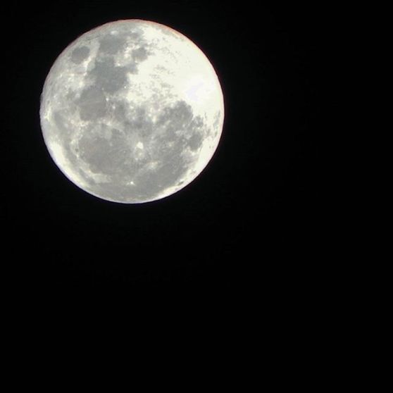 15057360_1175401629162707_4699980500104642560_n