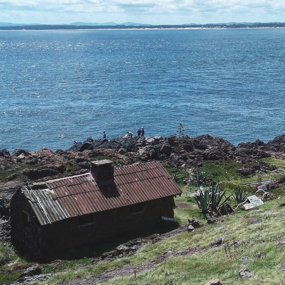 IMG_20170204_160358_424