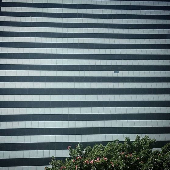 26303318_2047652518812590_844190008305778688_n