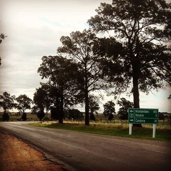 16110114_406380306367289_2289185704405630976_n