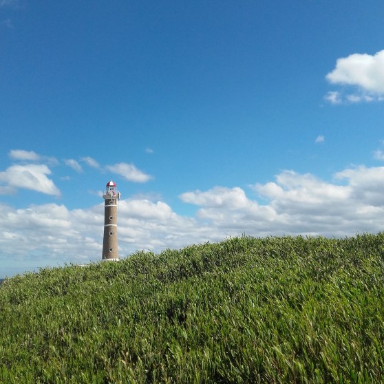 IMG_20170205_191047_132